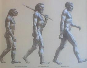 Neanderthal Man, Cro-Magnon Man, Modern Man