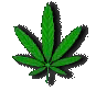 marij.gif (3557 byte)