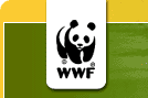 WWF Logo - Go To WWF Homepage