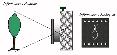 informazione analogica